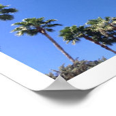 Florida Blue Sky Poster (Ecke)