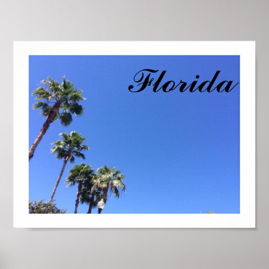Florida Blue Sky Poster (Vorne)