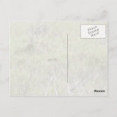 Florida Bobcat Postkarte (Rückseite)