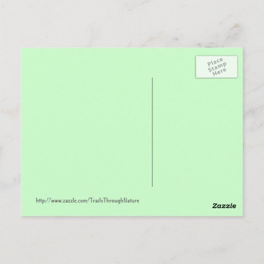 Florida Bougainvillea Postkarte (Rückseite)