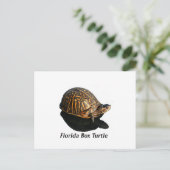 Florida Box Schildkröte Foto w Text Postkarte (Stehend Vorderseite)