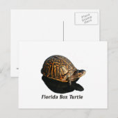 Florida Box Schildkröte Foto w Text Postkarte (Vorne/Hinten)