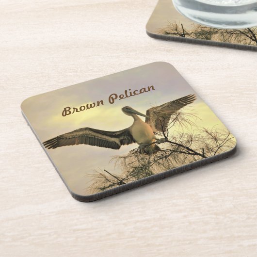 Florida Brown Pelican in Flight Untersetzer (Linke Seite)