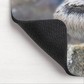 Florida Brown Pelican Stehend auf Jetty Rock Mousepad (Ecke)