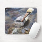 Florida Brown Pelican Stehend auf Jetty Rock Mousepad (Mit Mouse)