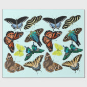 Florida Butterfly Party 30 in x 2,5 m Mattepapier Geschenkpapier (Flach)
