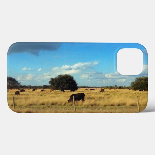 Florida Cattle Case-Mate iPhone Hülle (Rückseite (Horizontal))