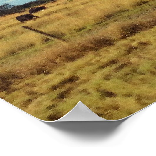 Florida Cattle Poster (Ecke)