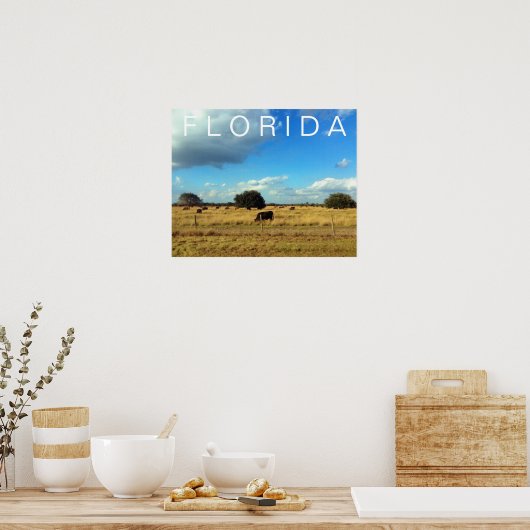 Florida Cattle Poster (Küche)