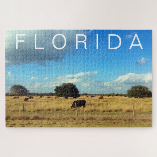 Florida Cattle Puzzle (Horizontal)