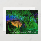 Florida Caverns Staat Park Postcard Postkarte (Vorne/Hinten)