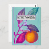 Florida Citrus Postcard Postkarte (Vorne/Hinten)