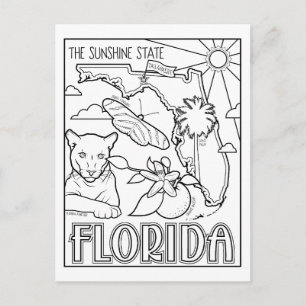 Florida Color Me Collage Postkarte