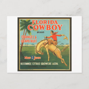 Florida Cowboy Kissimmee Zitrusfrüchte-Anbauer Vin Postkarte