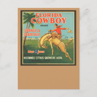 Florida Cowboy Postkarte