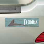 Florida-Delphin-Autoaufkleber Autoaufkleber (Auf Auto)