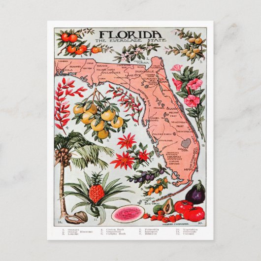 Florida, der Everglade-Staat, Karte (Vorderseite)
