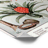 Florida Der Everglade-Staat ,Reiseplakat Poster (Ecke)