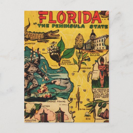 Florida Der Halbinselstaat Postkarte (Vorderseite)