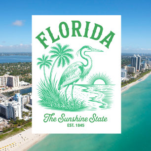 Florida Der Sonnenschein-Staat Gegr. 1845 Vintage Postkarte