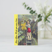 Florida, "Die Sunshine City" Postkarte (Stehend Vorderseite)