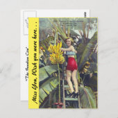 Florida, "Die Sunshine City" Postkarte (Vorne/Hinten)