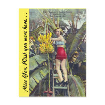 Florida, "Die Sunshine City"