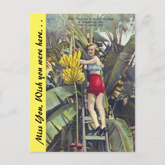 Florida, "Die Sunshine City" Postkarte (Vorderseite)