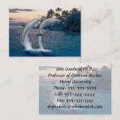 Florida Dolphins Visitenkarte (Vorne/Hinten)