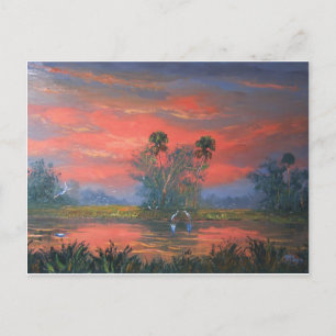 Florida Everglades Fire Sky Postkarte