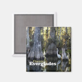 Florida Everglades Foto Souvenir Kühlschrankmagnet (Vorderseite/Rückseite)