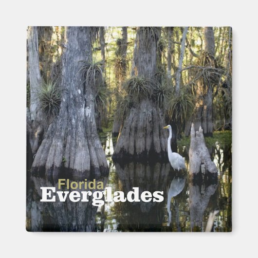 Florida Everglades Foto Souvenir Kühlschrankmagnet (Vorne)