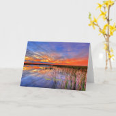 Florida Everglades, landschaftliches Panorama, Karte (Gelbe Blume)