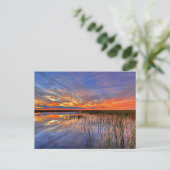 Florida Everglades Postkarte (Stehend Vorderseite)