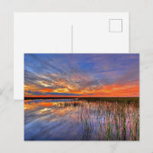 Florida Everglades Postkarte (Vorne/Hinten)