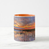 Florida Everglades Tasse (Zentrum)
