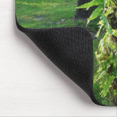 Florida ferns Mousepad (Ecke)