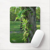 Florida ferns Mousepad (Mit Mouse)