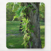 Florida ferns Mousepad (Vorne)