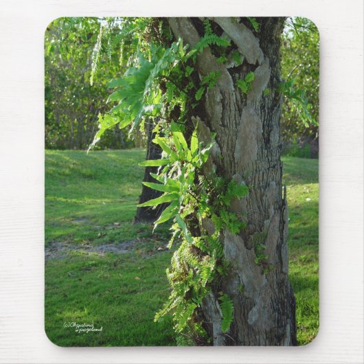 Florida ferns Mousepad (Vorne)