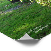 Florida ferns Palm Poster oder Print (Ecke)