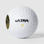 Florida Feuchtgebiete-Foto Golfball (Logo)