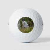 Florida Feuchtgebiete-Foto Golfball (Vorderseite)