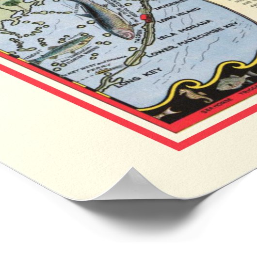 Florida Fish 12x18 Poster Print (Ecke)