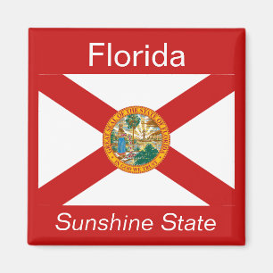 Florida Flag Magnet