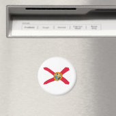 Florida Flag Magnet (In Situ (Geschirrspüler))