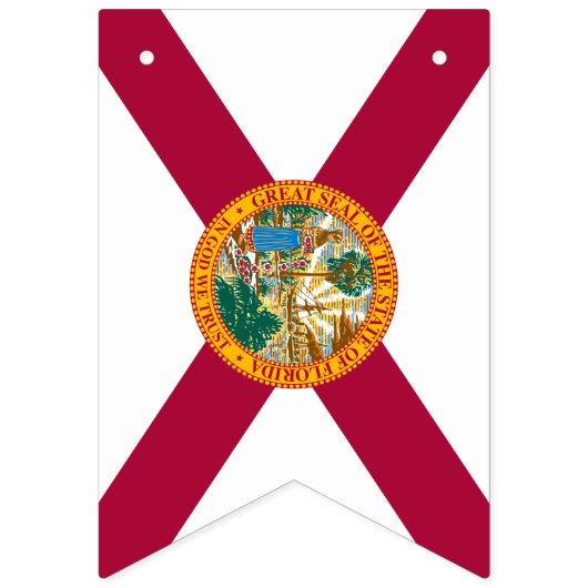 Florida Flag Party, Banners / Hochzeiten Wimpelkette (Zweite Fahne)