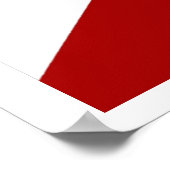 Florida Flag Poster (Ecke)