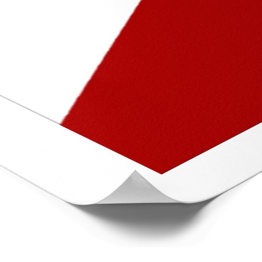 Florida Flag Poster (Ecke)