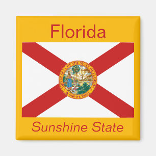 Florida-Flaggen-Magnet Magnet
